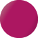 Fuchsia-Magenta/Pink
